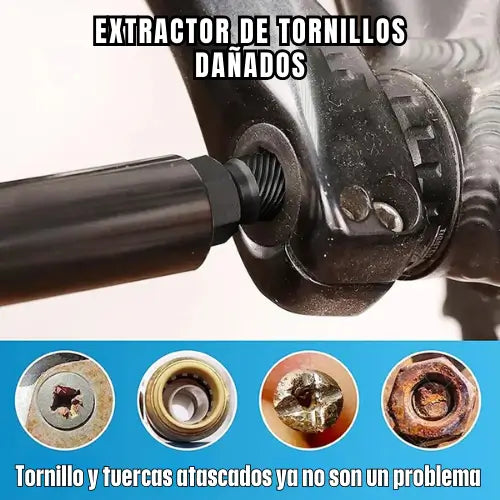Encabezado
