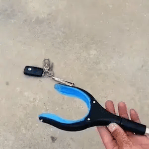 Encabezado