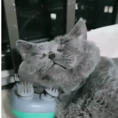 Masajeador para mascotas RELAXPET - Lleva de Todo Colombia