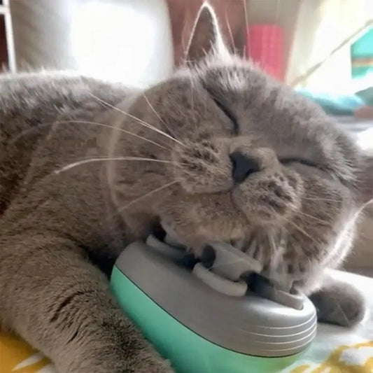 Masajeador para mascotas RELAXPET - Lleva de Todo Colombia